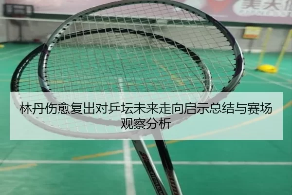 林丹伤愈复出对乒坛未来走向启示总结与赛场观察分析